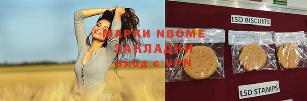 дживик Баксан