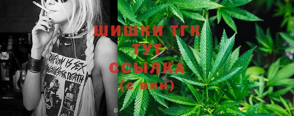 дживик Баксан