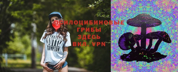 дживик Баксан