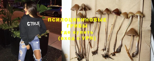 крисы Балабаново
